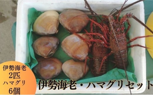 伊勢海老 ハマグリ　茅ヶ崎の幸 豪華セット　新鮮朝どれ　烏帽子産　漁師からそのままお届け　