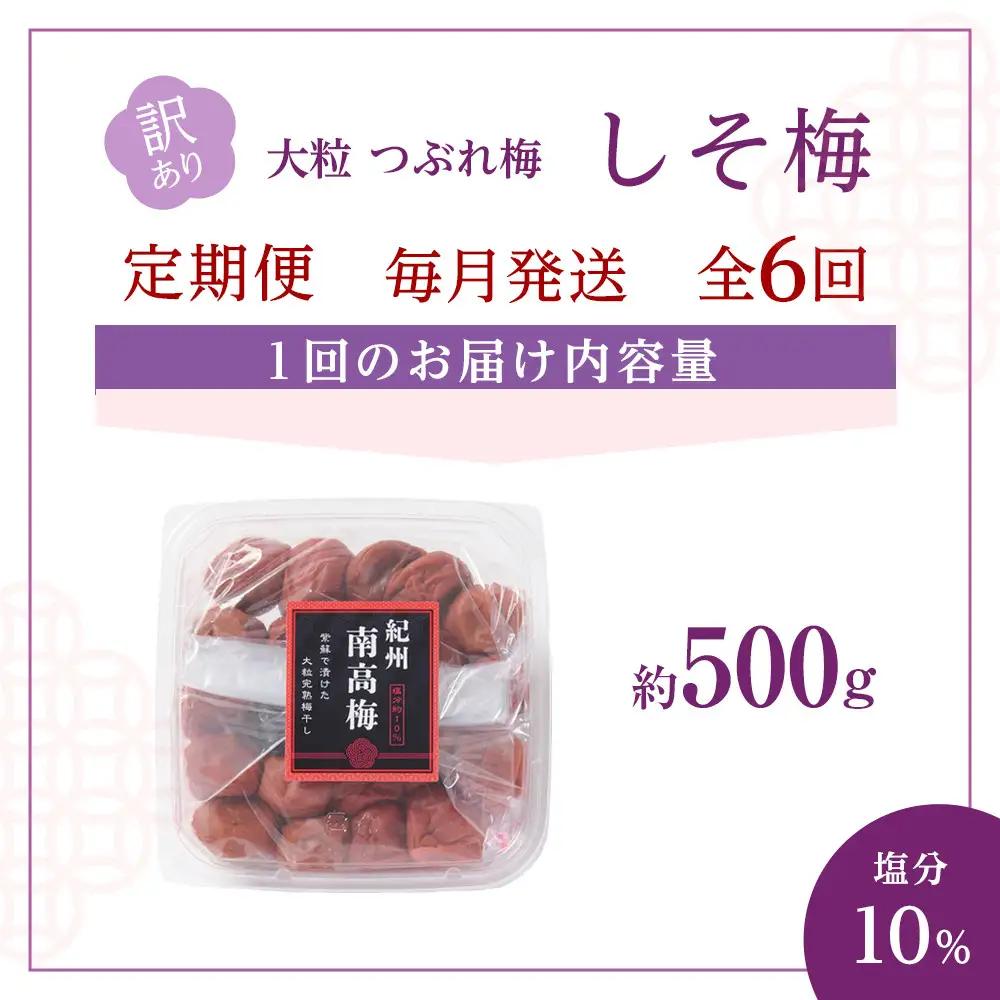 訳あり 梅干し 大粒 大玉 つぶれ梅 しそ梅 約500g × 6回 塩分10％ [ 定期便 毎月発送・全6回 ]