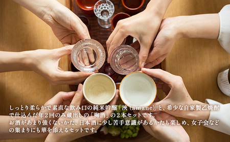 越乃寒梅　浹　純米吟醸 720ml・梅酒 720ml　2本セット 日本酒 お酒 晩酌 家飲み 宅飲み 飲み比べ 素直な飲み口 女子会 五百万石 