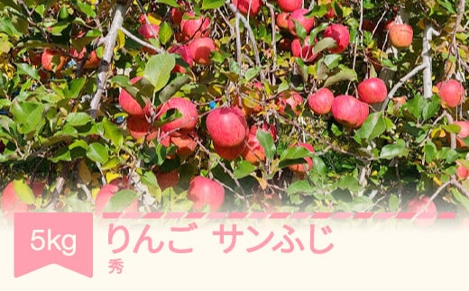 
            【先行予約】りんご サンふじ 秀品 5kg 令和7年産 2025年産 山形県産 kl-risfs5
          