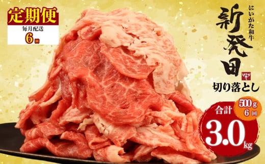 【定期便】 切り落とし 500g×6回 計3kg 新発田牛 黒毛和牛 霜降り 和牛 ブランド牛 国産 しゃぶしゃぶ 小間切れ 小分け 贈答 お歳暮 新潟 新発田 新潟県 新発田市 近江牛 神戸牛 松阪牛 米沢牛 三大和牛 に負けない えのもとミート enomoto027