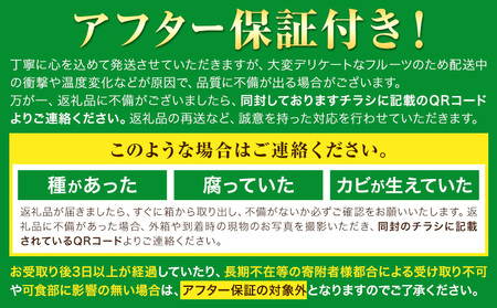 シャインマスカット 訳あり 約650g