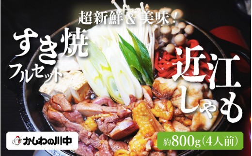 【かしわの川中】超新鮮＆美味！すき焼フルセット 近江しゃも 約800g（2～3人前）[G004] / 国産 滋賀県 鶏肉 肉 炭火焼 とり モモ 焼き鳥 すき焼き 鍋 軍鶏 しゃも とりすき焼き