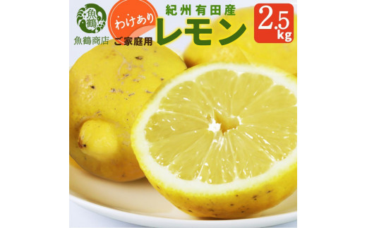 
【ご家庭用訳あり】 紀州有田産レモン 2.5kg【2024年3月上旬以降発送】
