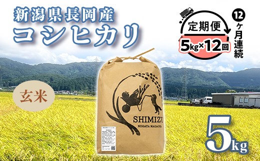 
                  N5-G05Z【12ヶ月連続お届け】新潟県長岡産コシヒカリ玄米5kg
                