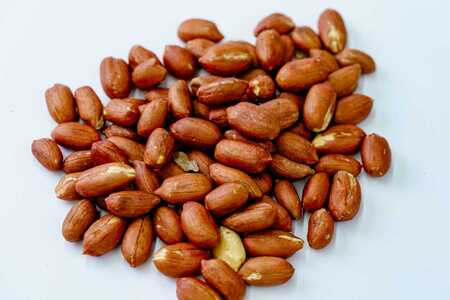 落花生 豆 毎日食べたい落花生セット（4袋）B/ ピーナッツ 4種類 詰合せ 塩味 バター 白砂糖 観光推奨品 丹沢 おつまみ おやつ 秦野 神奈川 厳選素材 豆 落花生 素煎りそぼく豆 白楽花糖 味