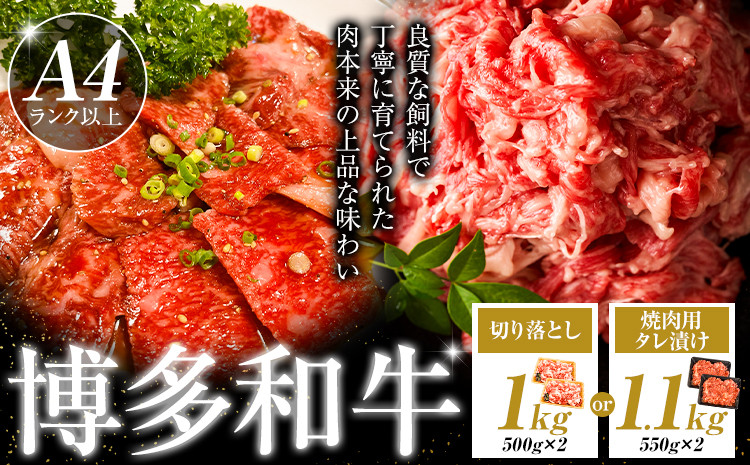 
            博多和牛 選べる 切り落とし 1kg 焼肉用 タレ漬け 1.1kg 株式会社木村食品《90日以内に出荷予定(土日祝除く)》小竹町 博多和牛 牛肉 焼肉用 焼肉 牛丼 肉じゃが 肩ロース 肩バラ モモ 赤身 st-p
          