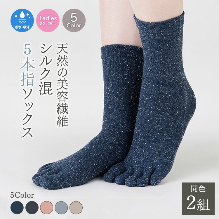 【ふるさと納税】天然の美容繊維 シルク混5本指ソックス 同色2組 フリーサイズ H-SO1200X2