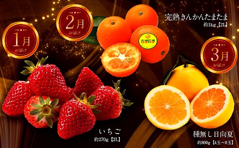 《2026年発送先行予約》【数量・期間限定】青果店厳選！「3ヶ月お届け！くだもの定期便Vol.1」_M153-T021