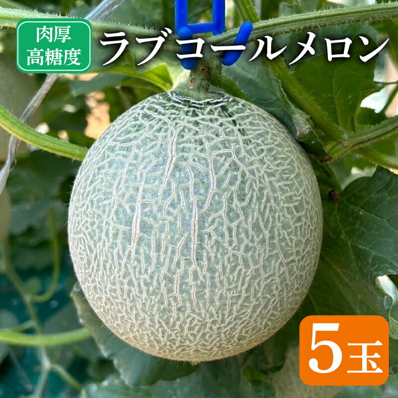 【ふるさと納税】 先行予約 ラブコールメロン 5玉 メロン 果物 フルーツ 糖度 甘い 贈答 プレゼント ギフト ゼリー ジュース フルーツサンド ケーキ シャーベット アイス デザート スイーツ 送料無料 千葉県 銚子市 はぎわらファーム 発送時期 2025年7月〜(なくなり次第終了)