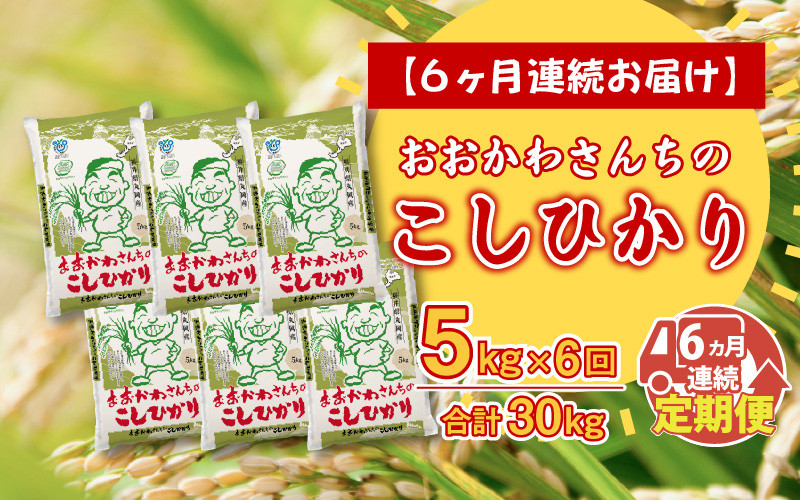 
[D-10881] 【令和5年産】【6ヶ月連続お届け定期便】おおかわさんちのコシヒカリ 5kg × 6回
