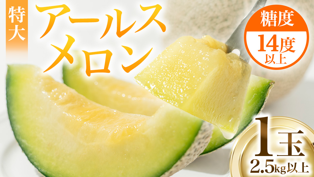 【2026年8月下旬発送開始】 季節 限定 ！ 甘さ満点 特大 アールスメロン 1個 果物 フルーツ 農家直送 産直 青肉メロン 特産品 マスクメロン メロン くだもの 茨城 [BC005sa]