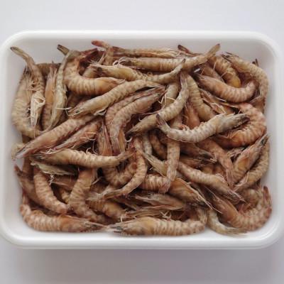 ふるさと納税 宜野座村 【養殖場から直送】急速冷凍車えび ちびちゃん500g(約66〜140尾位/500g×1P) |  | 02