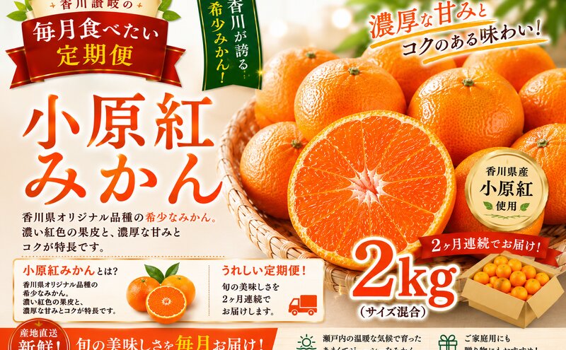 みかん 定期便 2ヶ月 2回 小原紅みかん 約2kg 香川県産 讃岐 小原紅 紅みかん 赤いみかん 柑橘 柑橘類 ミカン 蜜柑 甘い 薄皮 果汁 酸味 サイズ混 香川県発祥 果物 フルーツ くだもの 11月発送 12月発送 香川県 東かがわ市