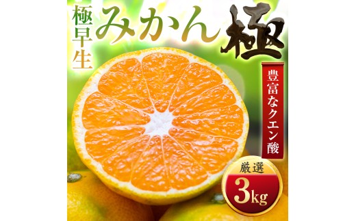 ＜太陽をたっぷり浴びた＞極早生みかん＜極＞3kg＜C49-31＞【1508889】 YWTZ023
