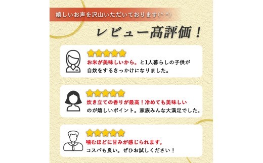無洗米 お米 米 精米 白米 訳あり ふくめぐみ 10kg (5kg×2袋) 5キロ 10キロ 5kg 10kg 無洗米 お米