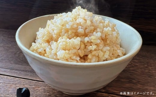 【れんげ米】【令和7年産】 元気つくし（玄米） 10kg（5kg×2袋） お米 玄米 【2025年9月下旬-12月下旬迄順次発送予定】