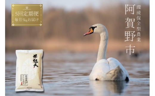 【令和7年産新米】【新潟産コシヒカリ】 5ヶ月定期便 特別栽培米 5kg×5回 米杜氏 壱成 白米 精米 1H04091