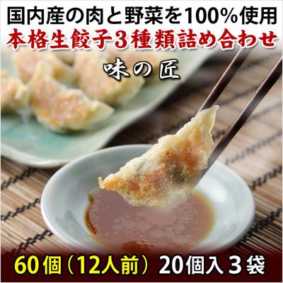 ふるさと納税 塩竈市 本格生餃子3種類詰め合わせ60個(12人前)　