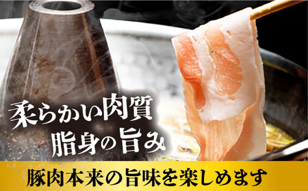 【偶数月6回定期便】長崎和牛・豚肉お楽しみコース 総量 5.04kg / 牛肉 モモ ロース 肩ロース リブロース すき焼き しゃぶしゃぶ 焼肉 豚肉 豚バラ バラ とんかつ トンカツ ロースハム ハ