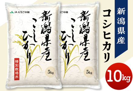 新潟県長岡産特別栽培米コシヒカリ10kg（5kg×2）