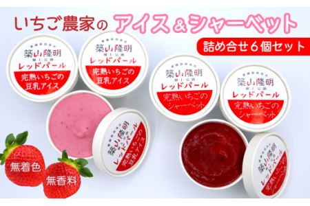 いちご農家のアイスセット（完熟いちごの豆乳アイス・シャーベット 各3個）