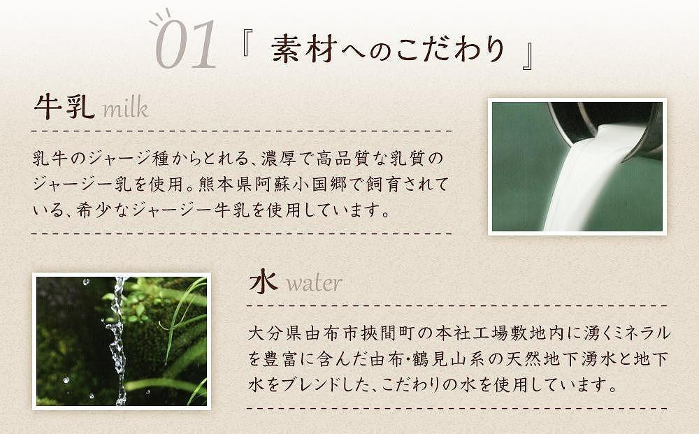 【定期便 全6回】【お菓子の菊家】ゆふいん創作菓子 ぷりんどら 9個入