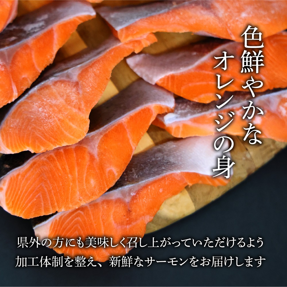 国産サーモン 切り身 約600g (約70g×3切×3P) 広島レモンサーモン｜小分け パック 国産 冷凍 真空パック 切身 大容量 400g 広島県産 特産品 グルメ 鮭 サーモン サケ さけ 魚 
