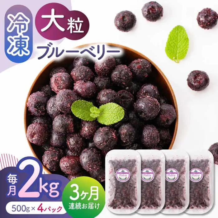 【3回定期便】大粒 冷凍ブルーベリー 約2000g（約500g×4pc）【すみれファーム】果物 フルーツ くだもの 大粒 小分け 熊本県産ブルーベリー [ZEP016]
