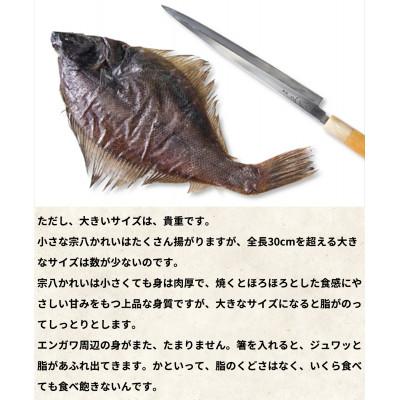 ふるさと納税 鹿部町 北海道産 宗八かれいの一夜干し 4枚入り SM41-2 |  | 02