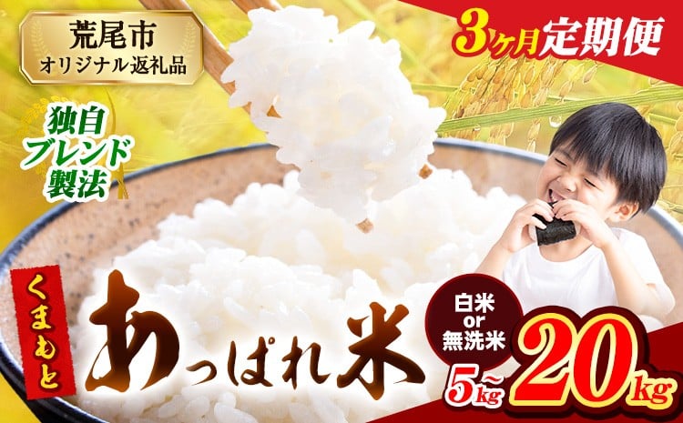 
            【3ヶ月定期便】無洗米 も選べる 熊本県産 くまもとあっぱれ米 ブレンド米 5kg 10kg 15kg 20kg 熊本県産 ふるさと納税 無洗米 白米 精米 米 こめ ふるさとのうぜい コメ お米 おこめ《お申込み月の翌月から発送予定》
          