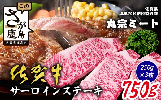 
                  佐賀牛 サーロインステーキ 250g×3枚 計750g ブランド牛 ステーキ 精肉 D-298
                