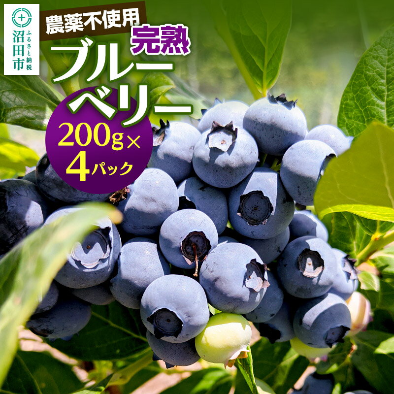 【ふるさと納税】《7月上旬〜下旬発送》完全無農薬栽培 完熟ブルーベリー 200g×4パック