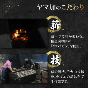 カツオ生節 カツオなまり節 約300g～×12 高タンパク