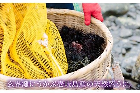 ウニ 生ウニ 天然紫うに！生 うに 2本セット（無添加・微塩）計 120g 《壱岐市》【壱岐水産】[JBR006] 28000 28000円  コダワリうに・ウニ こだわりうに・ウニ おすすめうに・ウ
