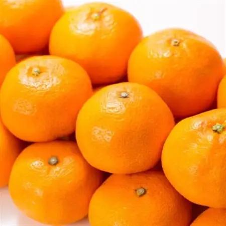 有田みかん約7.5kg(+傷み補填分500g)ニ合計8kg【サイズおまかせ】薄皮で甘い美味しいみかん【1220665】
