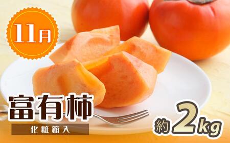 【2・7・11月 全3回】紀州和歌山産旬のフルーツセット（いちご・桃・富有柿）定期便 【魚鶴商店】【UT69】