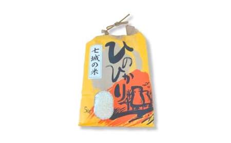 【令和7年度産】 熊本県産のお米5kg ひのひかり   精米 単一原料米 お米 米  【2025年11月上旬発送開始】