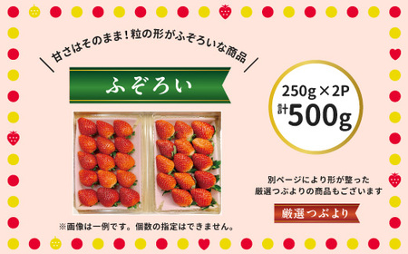 阿部梨園の完熟とちあいか（ふぞろい）　※離島への配送不可　※2024年12月上旬～2025年5月中旬頃に順次発送予定
