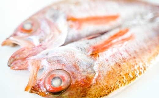 
                  のどぐろ一夜干 150ｇ×2枚【国産 魚介類 干物 冷凍 無添加 アカムツ】
                