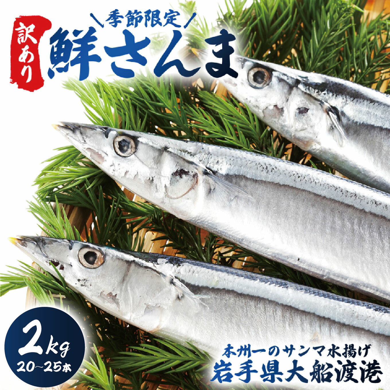 【ふるさと納税】 訳あり 鮮さんま 2kg 20~25本 大船渡産 岩手 さかな おさかな 魚 鮮魚 新鮮 生魚 焼き魚 FISH ごはん 夕飯 おかず おつまみ 晩酌 米 丼 海産物 海鮮 魚介 魚介類 大船渡 三陸 岩手県 国産 秋 旬 今が旬 ごはん 夕飯 おかず 米 丼 三陸 10000円 1万円