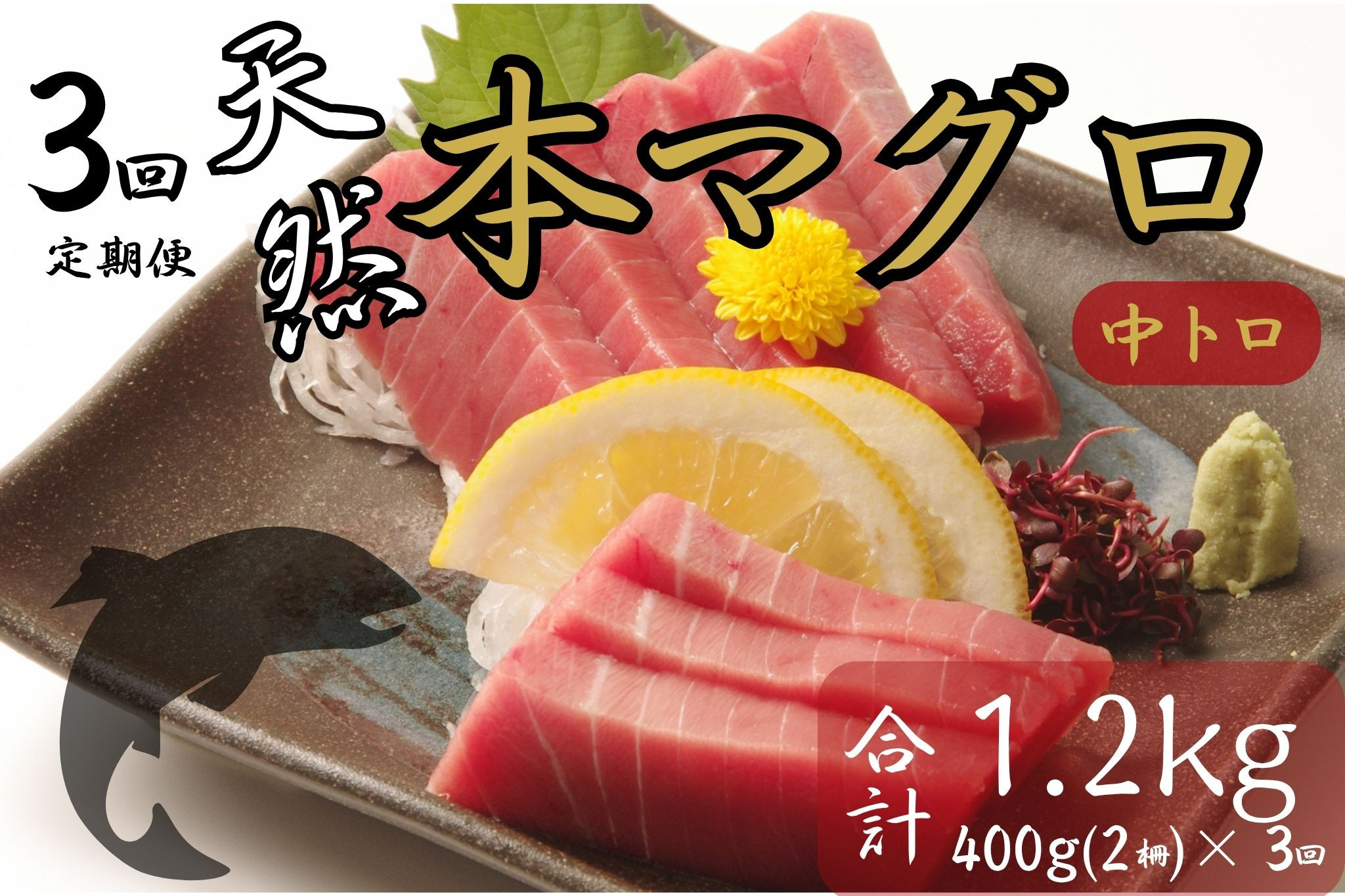 
            【３回定期便】天然本マグロ　中トロ　２柵　解凍書付 海鮮 魚介 鮪 惣菜 冷凍 クロマグロ まぐろ
          