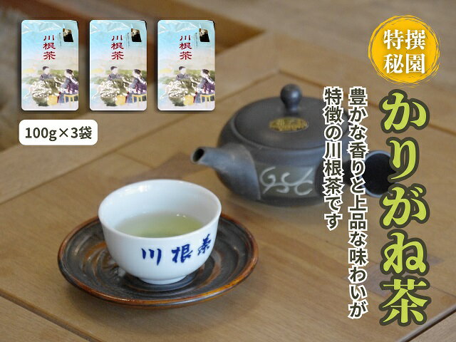 【ふるさと納税】豊かな香り 上品な味わい「川根茶 特撰秘園かりがね」100g×3袋