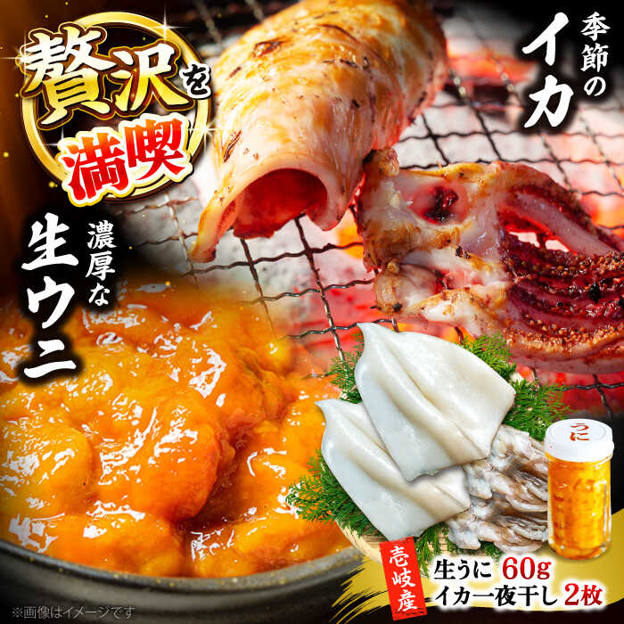 【ふるさと納税】季節のイカ一夜干し2枚＋生ウニ60g 《壱岐市》【合同会社塚元】[JDR025]