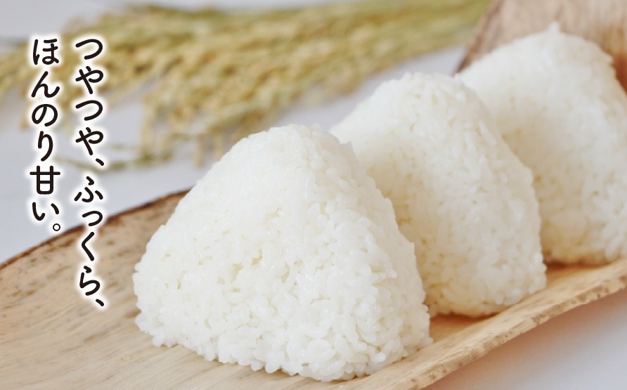 BY-1 【垂井町産】ふっくら！もっちり！毎日食べたいコシヒカリ 白米 5kg