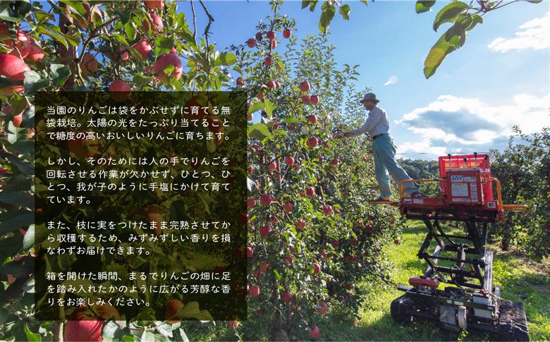 羽山りんごジュース 無添加 1000ml 6本セット【斎藤りんご園】
