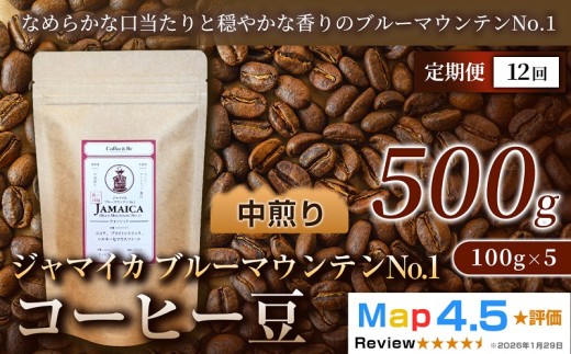 【定期便】ジャマイカ　ブルーマウンテンNo.1　（100g×5袋）×全12回