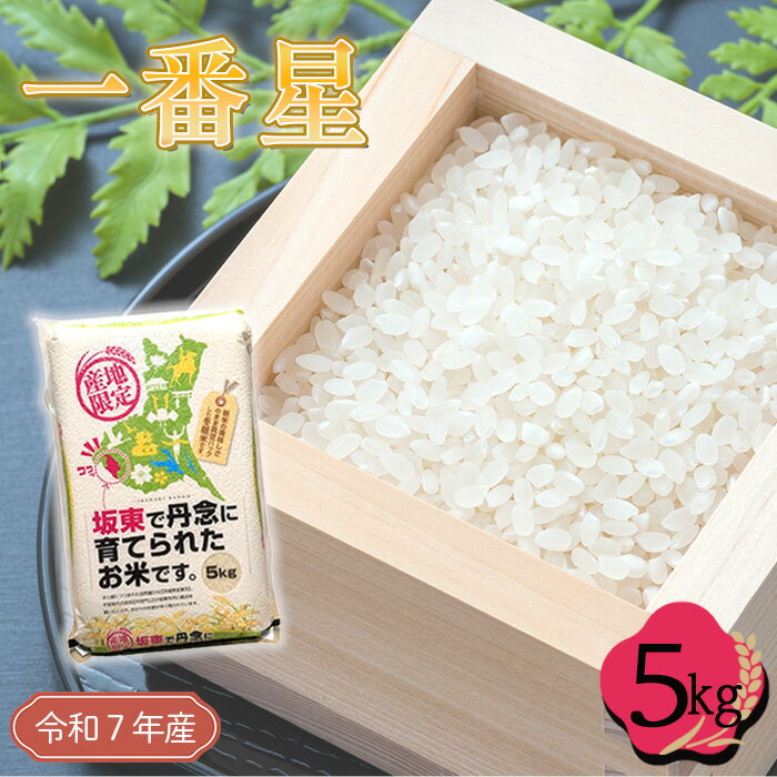 【ふるさと納税】 「令和7年産米」一番星　5kg ／ 令和7年 新米 米 お米 精米 白米 ご飯 国産 5kg 5キロ 一番星 大粒 甘み 真空 真空パック 買い置き おいしい お取り寄せ 産地直送 産直 坂東市産 茨城県産 No.761