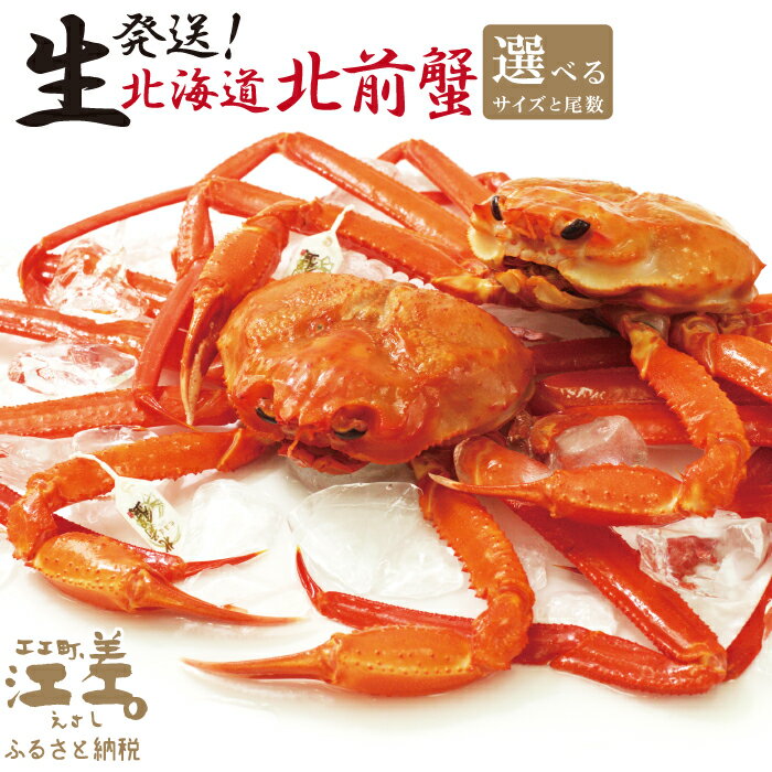 【ふるさと納税】＼3～4月限定出荷／生発送！『北海道北前蟹』タグ付き特選 〈サイズ・尾数が選べる 大2尾・大5尾・特大1尾〉　期間限定「生」出荷　日本海産紅ずわいがに　漁師直販　新鮮活カニ　生蟹　かに刺し　かにみそ　国産ベニズワイ
