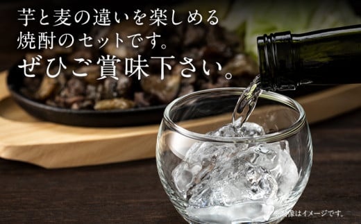 【いも焼酎】芋の香＋【むぎ焼酎】穂の香セット（12本）